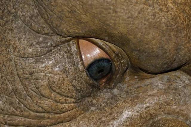 京东传媒精品jd009 jd009的传媒成功并非偶然