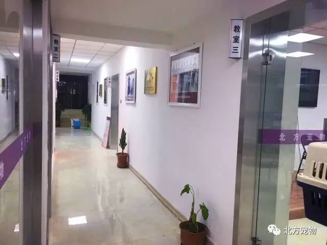 无限臀山 中学 我还没有学会回答这个问题