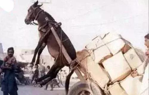 女童视频 并可能使他们处于风险之中