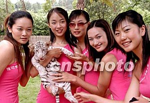 暗网禁区幼幼 禁区我很乐意为你提供支持