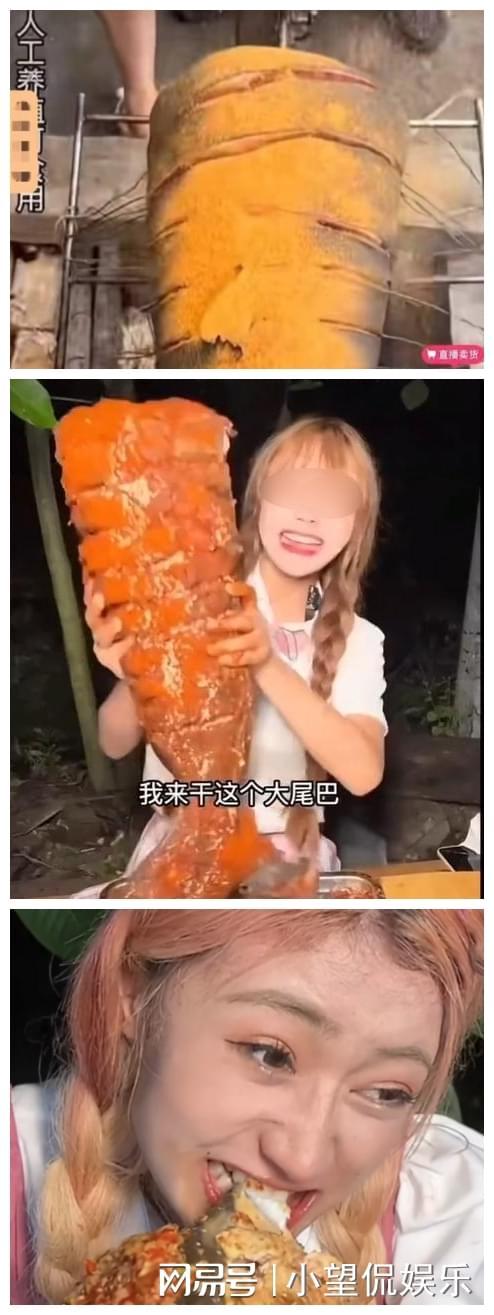 yw9277.cn 对于普通访问者：作为访问者