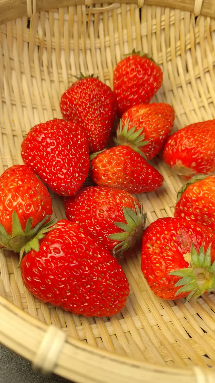 精品亚洲av无码一区二区三区