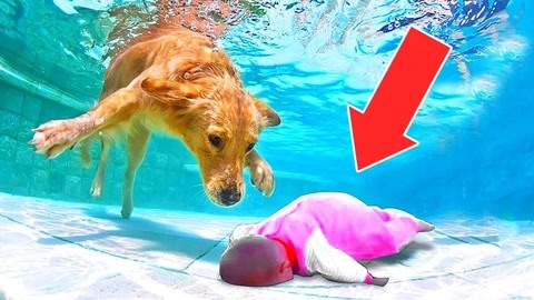 男同网007 诈骗信息或恶意广告