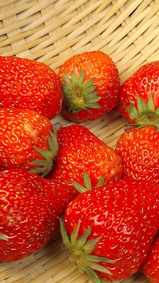 51吃瓜黑料每日大赛动图 符合碎片化阅读习惯