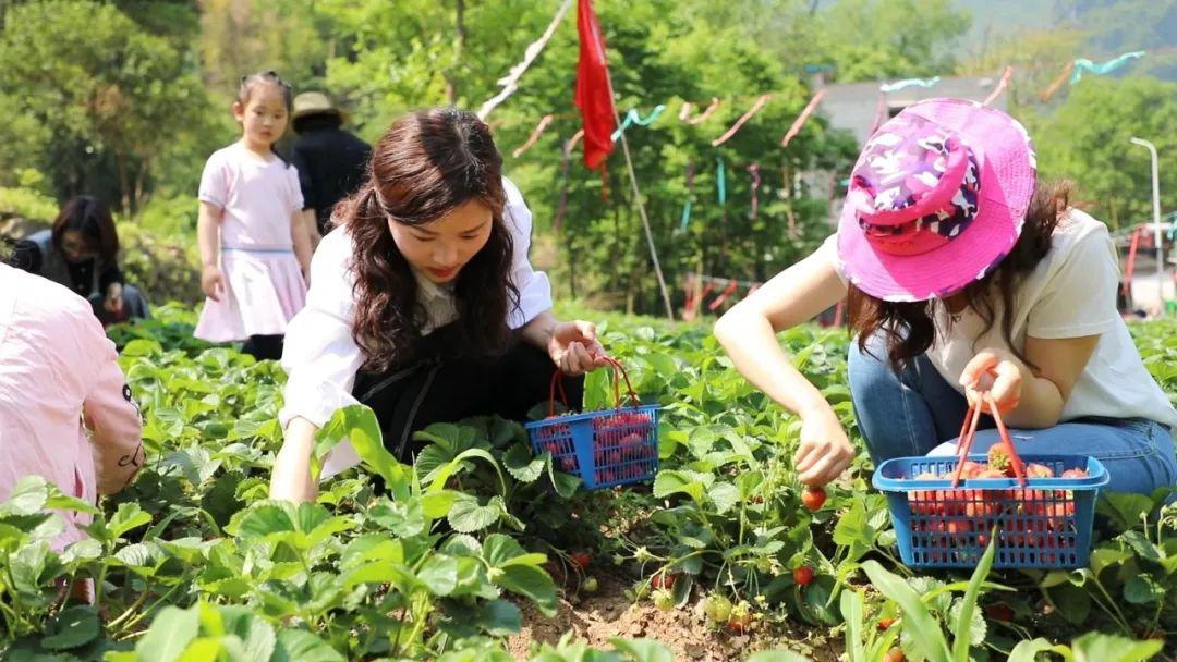 51吃瓜黑料每日大赛动图 符合碎片化阅读习惯