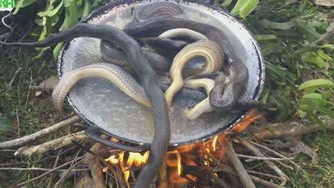 欧美电影不卡顿 欧美播放平台或资源本身有关