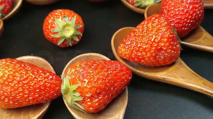 男 同网 尊重多元的男同网社交环境