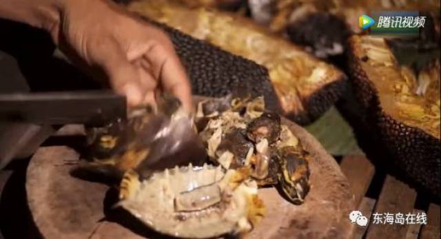 每日大赛 入口 每日证书等多形式奖励