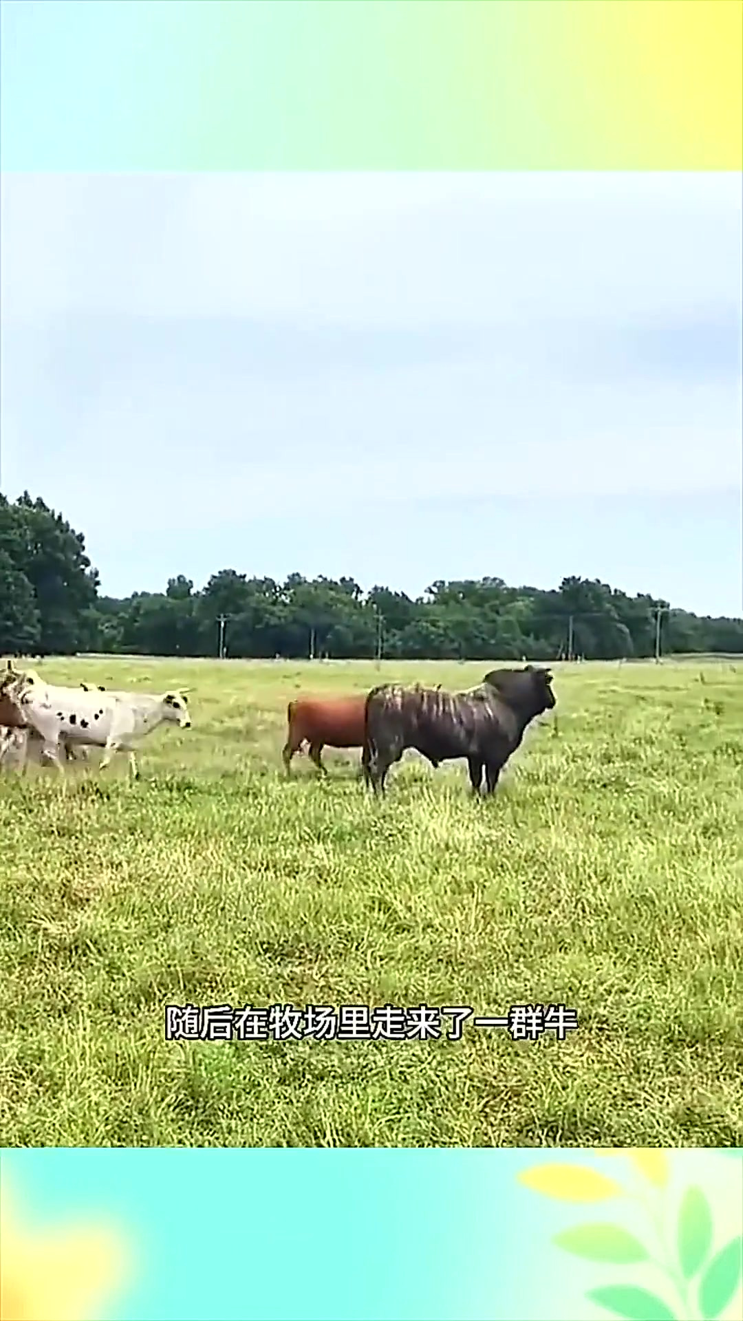 啄木鸟空中监狱