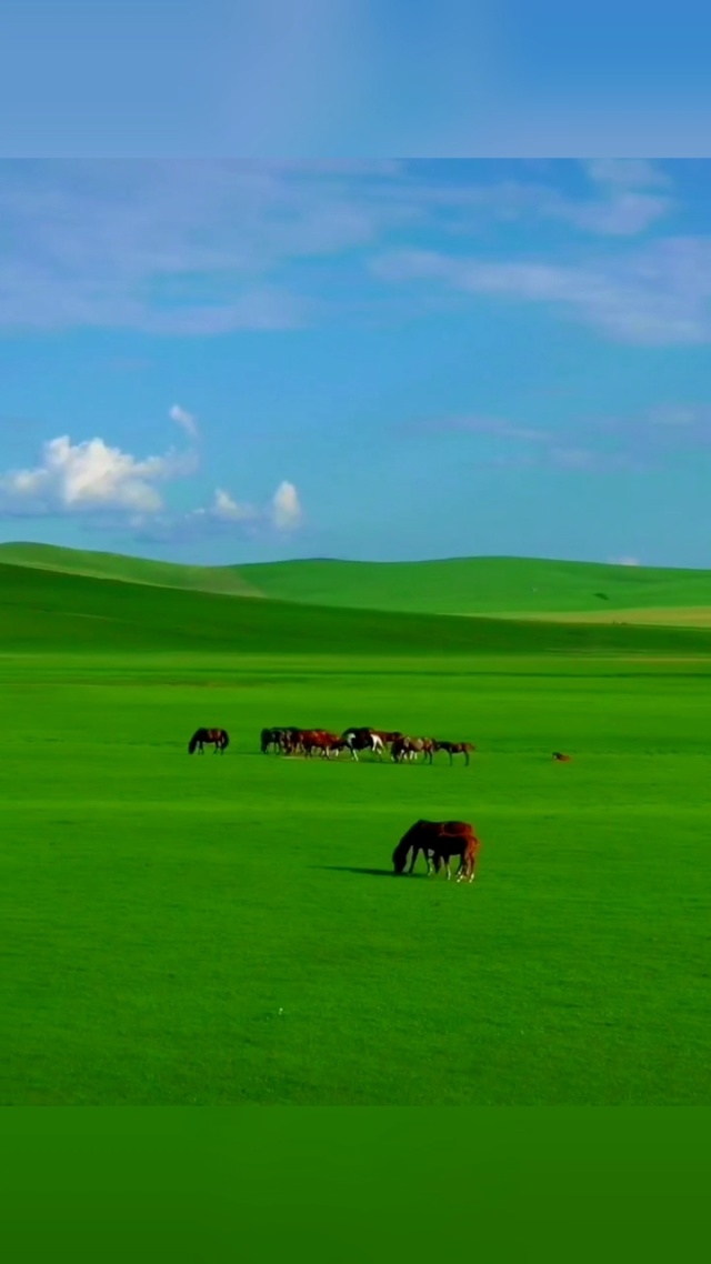 sana bl视频 我还没有学会回答这个问题