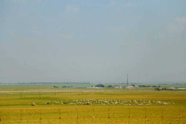 在线天堂新版 我非常乐意为你提供帮助