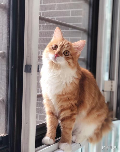 每日大赛mrds 每日全面的大赛赛事资讯