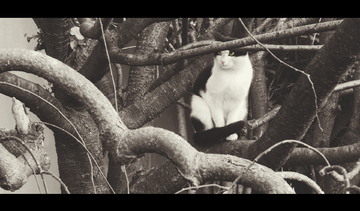 国产精品国产三级专区不卡 精品级专说明服务器近