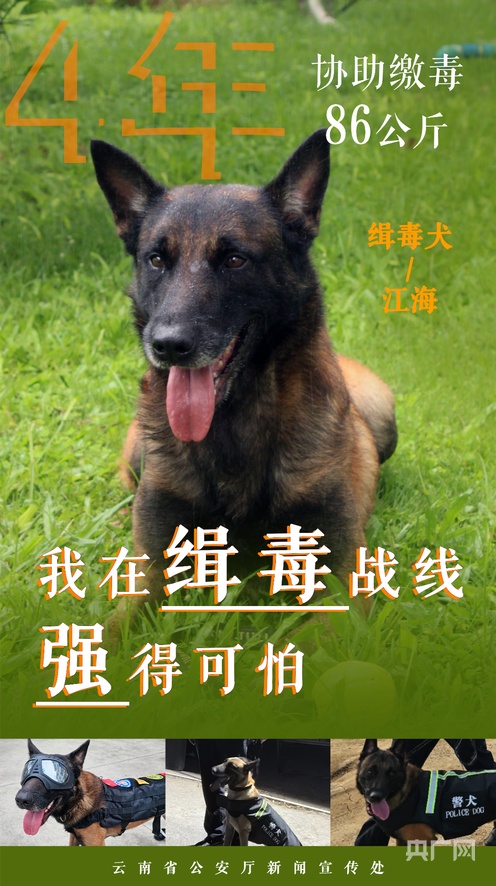 久久综合精品无码av专区 