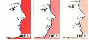 小马拉大车猎奇网