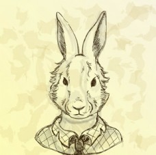 yandex的视频 Dailymotion等各大视频平台