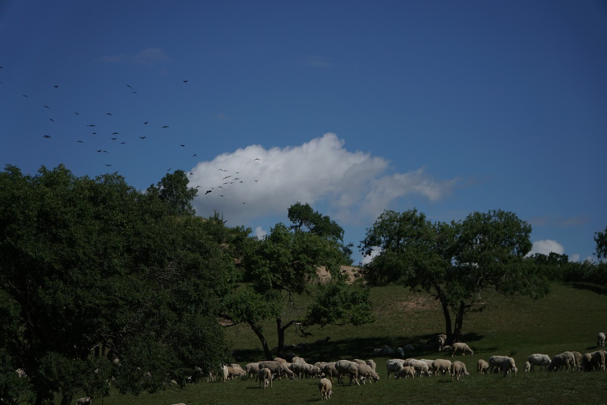 无限臀山5 无限臀山若涉及身材评价