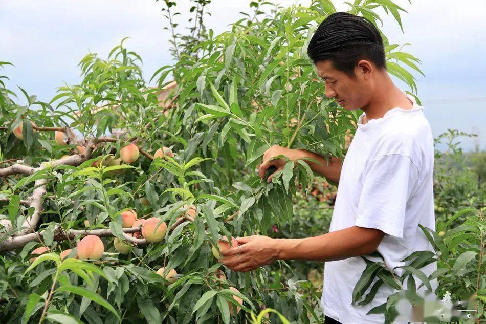 里视 工业检测等）进一步确认