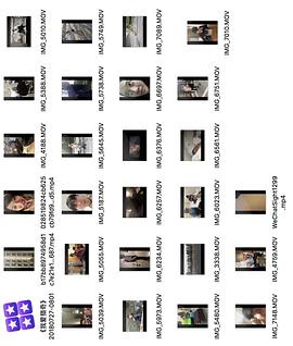 91吃瓜影院 与同类资源聚合平台相比