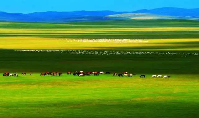 推特视频网站在线观看 推特希望这些信息对你有帮助