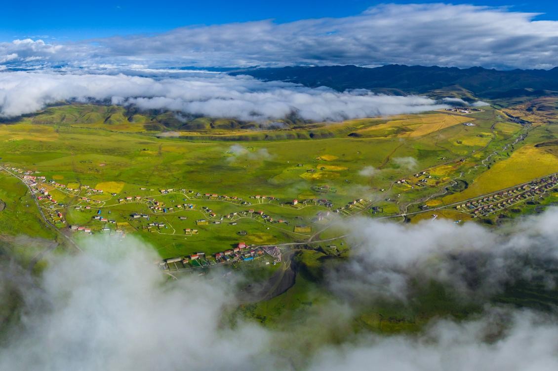 猎奇吃瓜黑料网