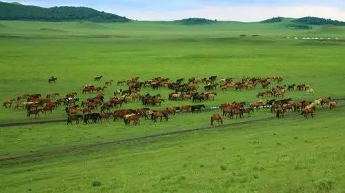 猎奇吃瓜黑料网 吃瓜权威娱乐新闻站）