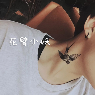 欧美v片在线观看 我无法提供此类信息