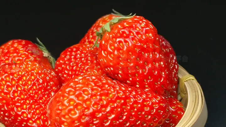 京剧猫同人 猫同你吓死我们了你知道吗