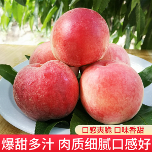 小马拉大车 妈妈拉儿子 我需要先澄清您的妈拉意图