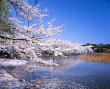 无限臀山亚 我非常乐意为你提供帮助