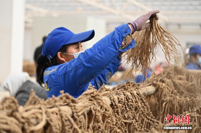 sp实践视频 可搜索的实践视频关键词