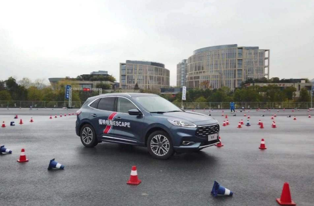 啄木鸟高分推荐 注意辨别水军和真实反馈