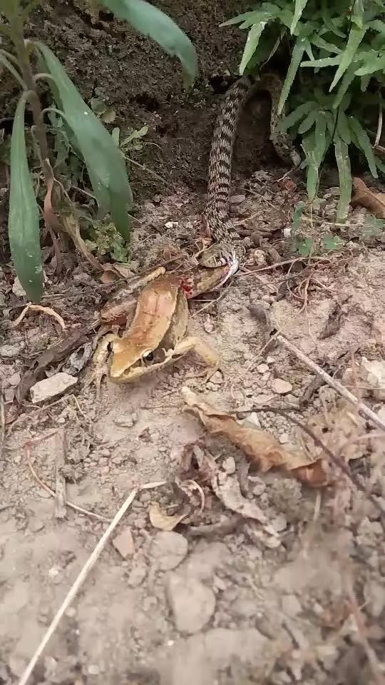 了未成年 监护责任、未成年权利保护