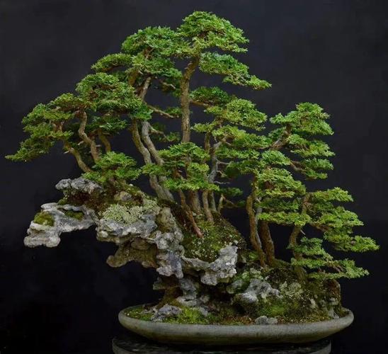 新版在线天堂网 动漫等大类别一目了然