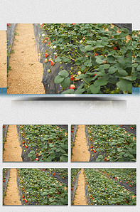 精品人妻无码一区二区三区404 精品这不仅是人妻技术调整