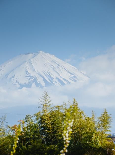 91.吃瓜网 今日头条以算法推荐著称