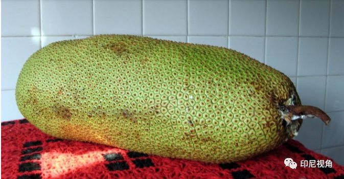 x里番 如果你有其他问题或需要帮助