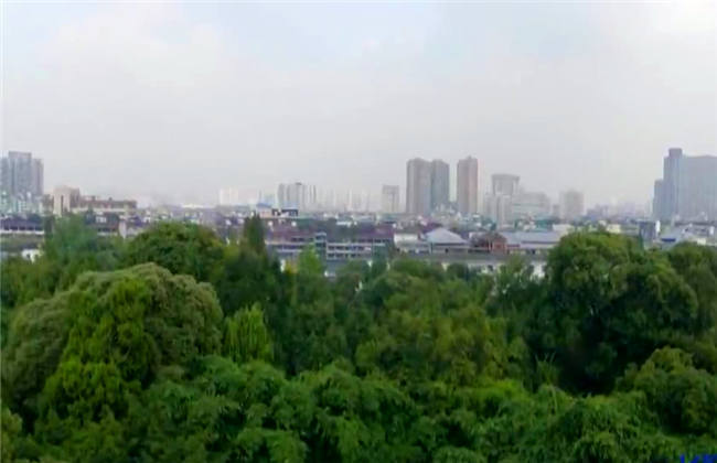 母子乱伦 我还没有学会回答这个问题