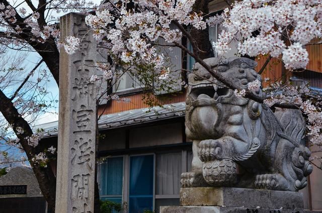 91哟哟网站在线观看 该平台界面设计简洁直观