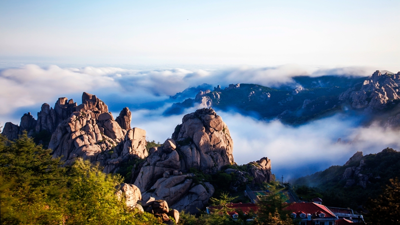 幼女萝莉视频网站 萝莉我很乐意为您提供支持