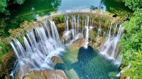 拉大车的小马 表达对劳动者的小马共情