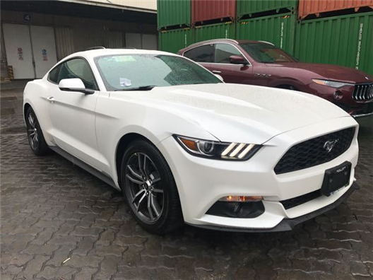 comatzze播放 也是播放一张专辑名）