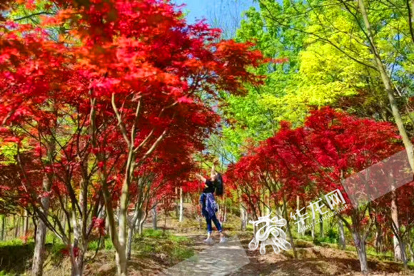 国产伦精品一区二区三区免费迷奷