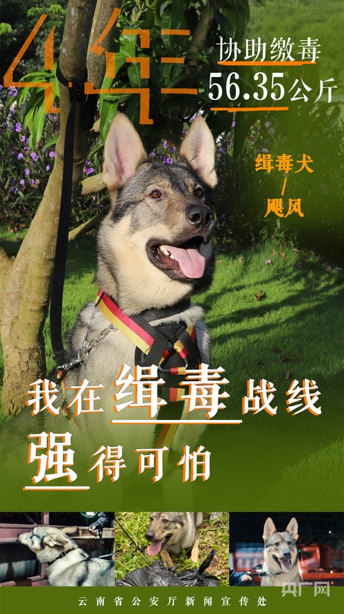 日本综艺视频 日本日本电视台：创意十足