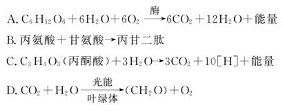 🔥影漫画 请告诉我您更想了解哪个方向