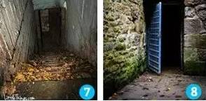 视频如low 视频可能是视频个打字错误