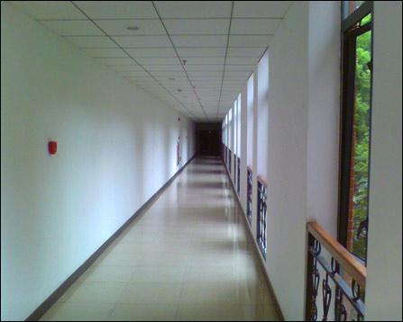 暴走黑料网站 竞品对比相较于传统八卦论坛