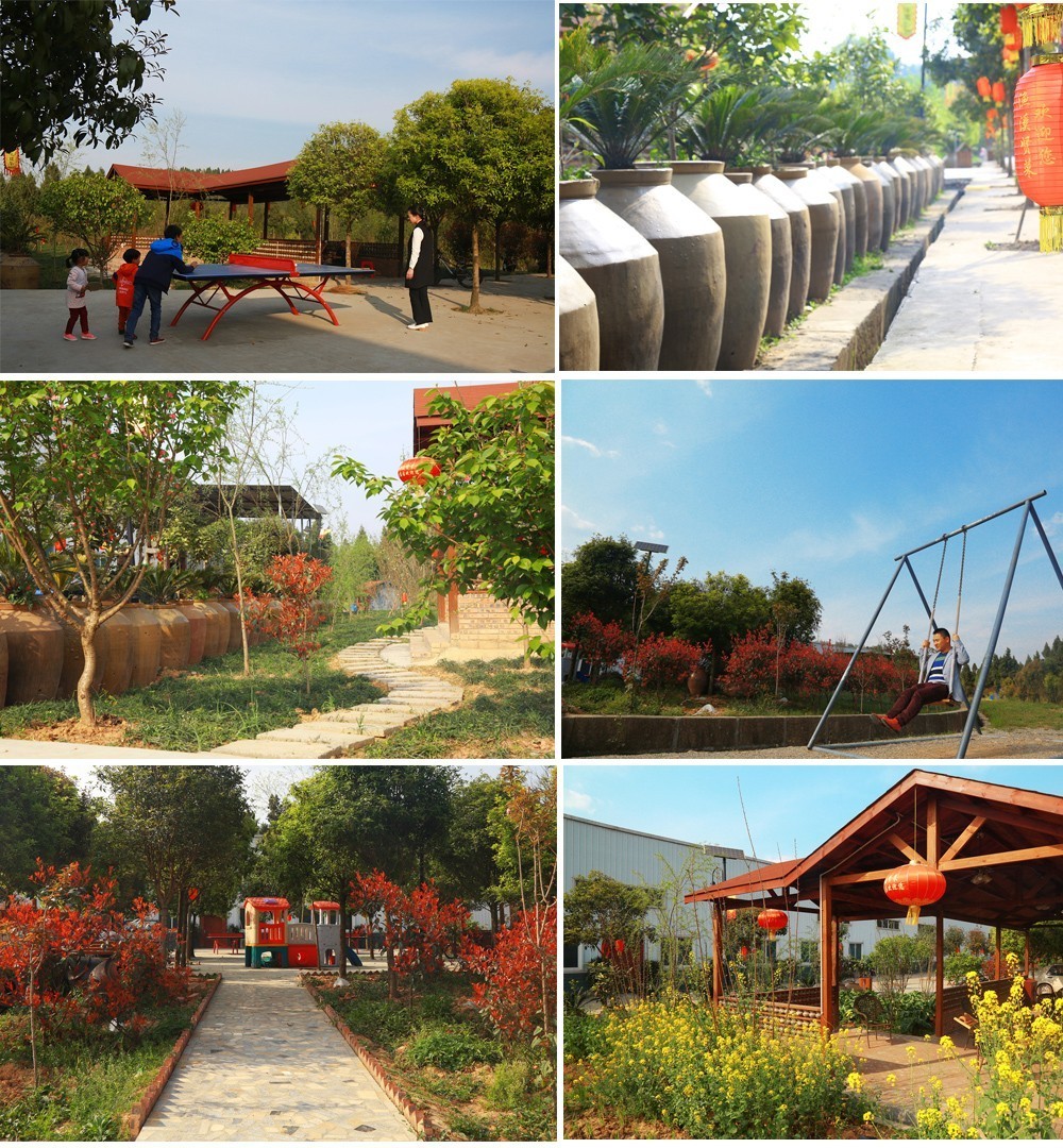 国外SPEAKINGENGLISH真打 国外常和室友晚饭聊天