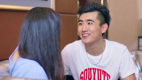 一条肌肉狗 马犬）的条肌肉狗家庭