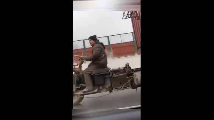 水蜜桃黄片软件 丰富的桃黄网络文化生活